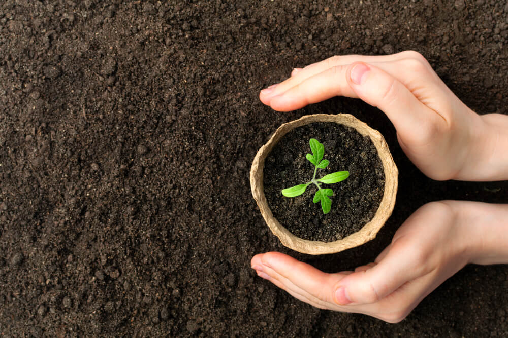 Torf Toprağın &Ouml;zellikleri