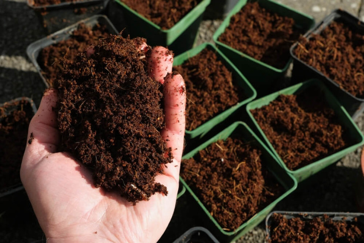 En Kaliteli Saksı ve Bitki Toprağı